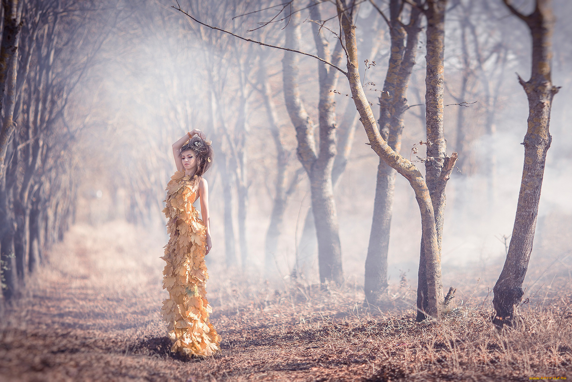 , -unsort , ,  , dress, of, autumn, leaves, , , , 